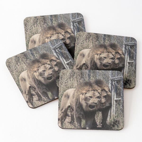 Item preview, lion on your left designed and sold by asmphotography.