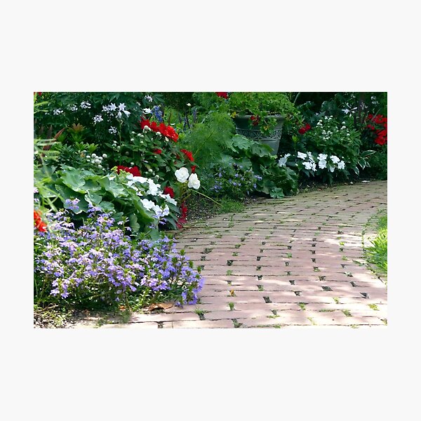 Garden Stroll Photographic Print