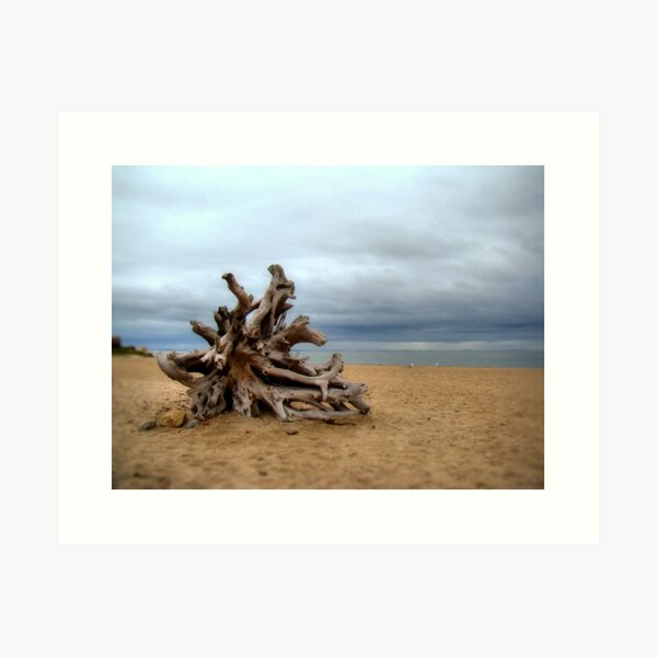 Item preview, Drifted Roots designed and sold by Carrie Driscoll.