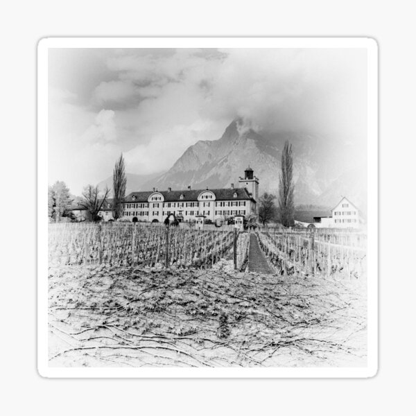 Item preview, Salenegg Castle designed and sold by DiFigianoPhoto.