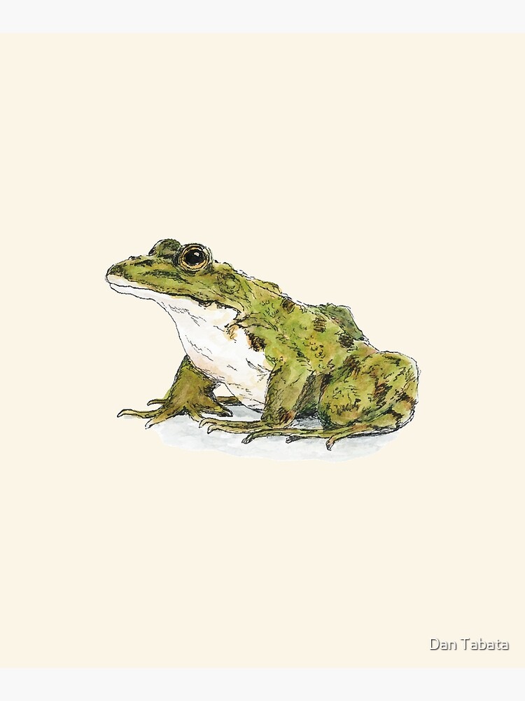 Frog by dmtab