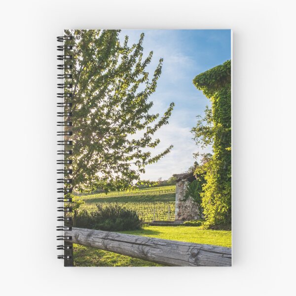 Item preview, Abandoned farm in the countryside of Italy designed and sold by zakaz86.