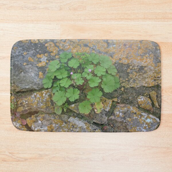 Item preview, Life on an old stone wall designed and sold by Anna Lemos.