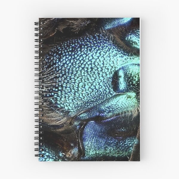 Item preview, Nature's canvas - fly designed and sold by SifRants.