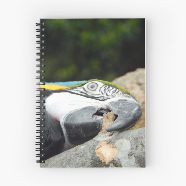 Item preview, Parrot designed and sold by wallcat.