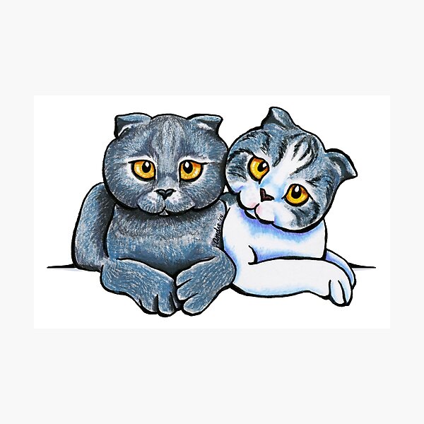 Scottish Fold Gifts & Merchandise for Sale | Redbubble