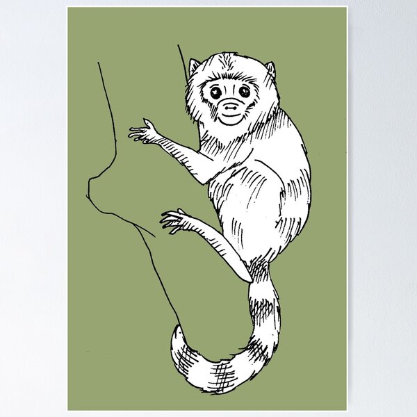 Item preview, Pygmy Marmoset Fanimal designed and sold by Jaaay.