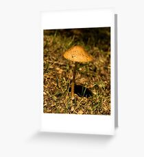 'Shroom Greeting Card