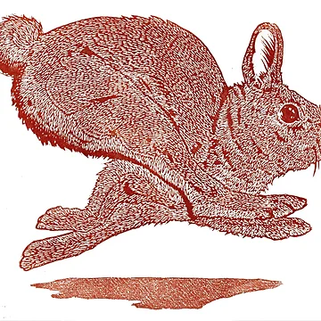 Artwork thumbnail, Leaping Rabbit by RedBoyMakes