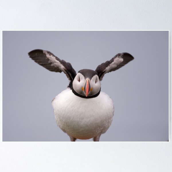 Item preview, Little Brother of the North designed and sold by ccullen222.