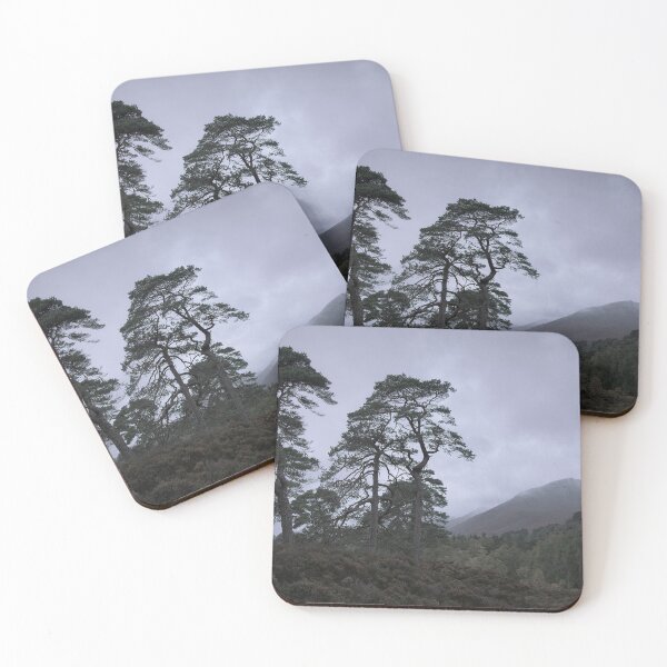 Item preview, Moody Forest designed and sold by ShinyPhoto.
