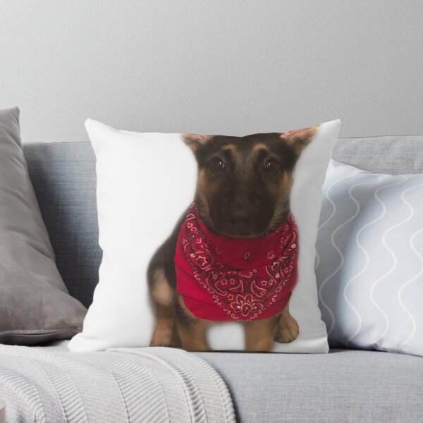 Item preview, diego designed and sold by kaylaboose.