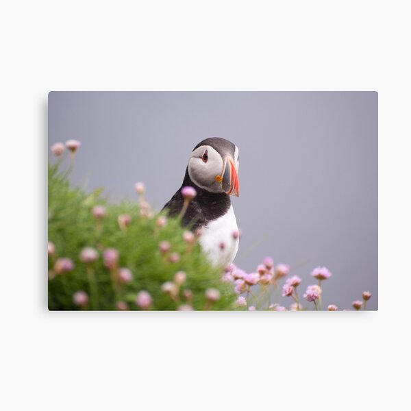 Item preview, Puffin designed and sold by ccullen222.