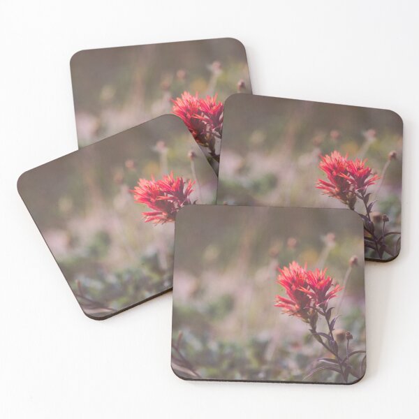 Item preview, paintbrush designed and sold by Sheri Skocdopole.