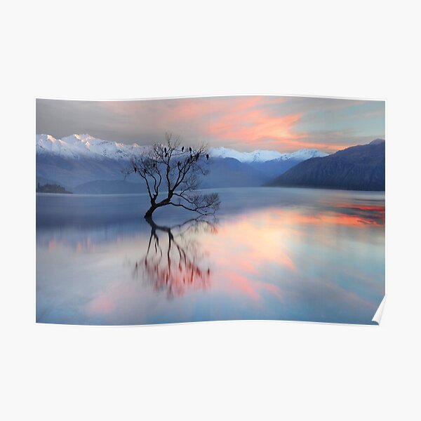 Pink Sky at Lake Wanaka Poster