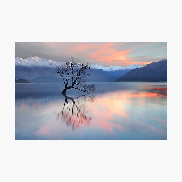 Pink Sky at Lake Wanaka Photographic Print