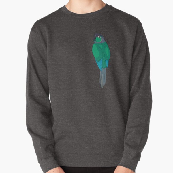 conure sweater