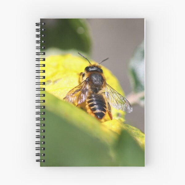 Item preview, Leaf-cutter bee designed and sold by GreyFeatherPhot.
