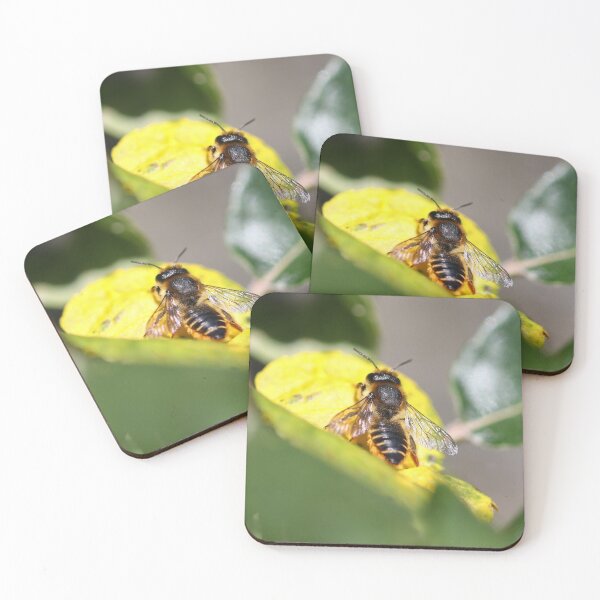 Item preview, Leaf-cutter bee designed and sold by GreyFeatherPhot.