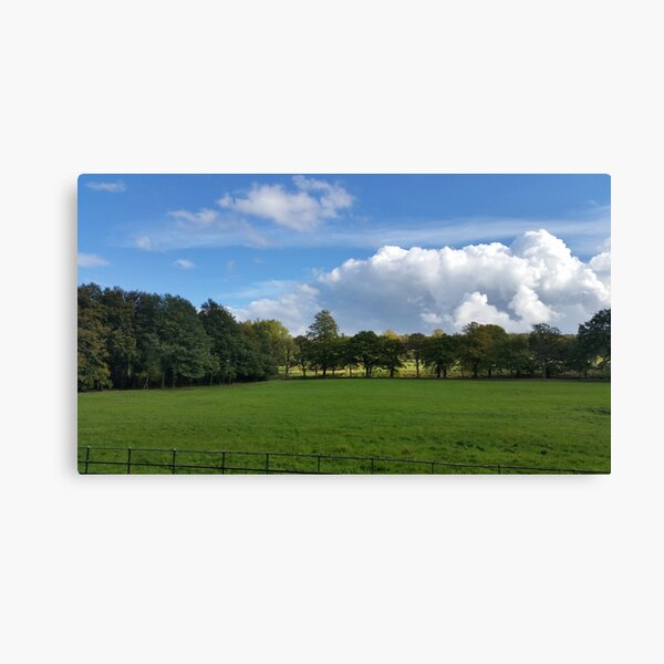 View from the Avenue Canvas Print