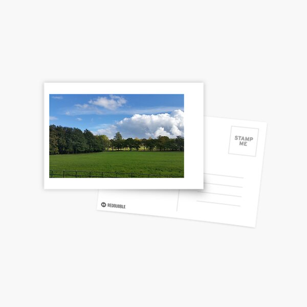 View from the Avenue Postcard