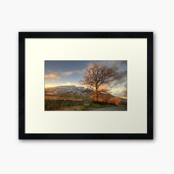 Item preview, Blencathra and Tree designed and sold by Jonnyfez.