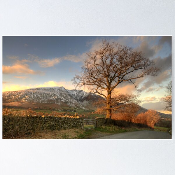 Item preview, Blencathra and Tree designed and sold by Jonnyfez.