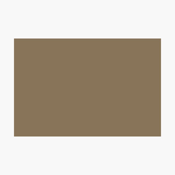 "Dried Olive Green Brown Solid Color Pairs with Sherwin Williams Heart 2020 Forecast Color