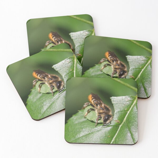 Item preview, Leaf cutting designed and sold by GreyFeatherPhot.