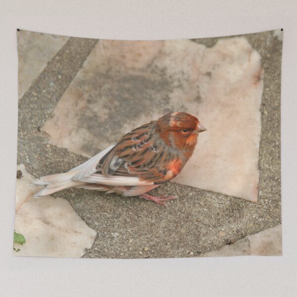 Item preview, Lovely runaway canary bird designed and sold by Anna Lemos.