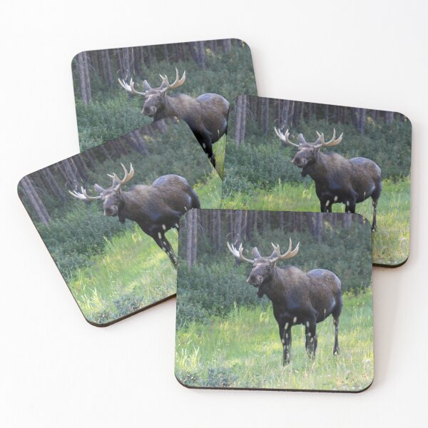 Item preview, Canadian Moose designed and sold by Alyce Taylor.