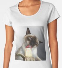 Denis Cat T Shirts Redbubble - roblox cat sir meows a lot premium scoop t shirt by jenr8d