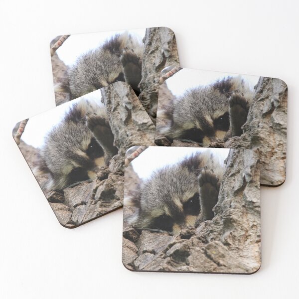 Item preview, Putting Your Best Foot Forward designed and sold by Alyce Taylor.
