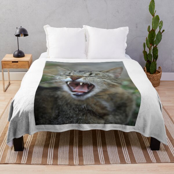 Item preview, Portrait of striped fluffy cat designed and sold by olena2552.