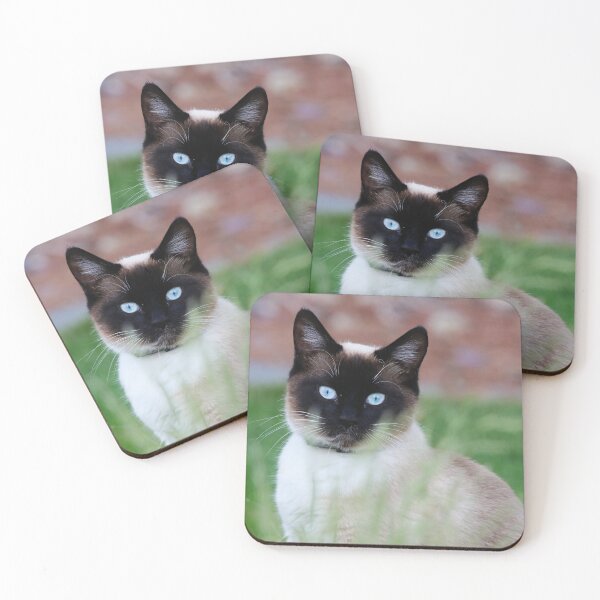 Item preview, Sassy designed and sold by Alyce Taylor.