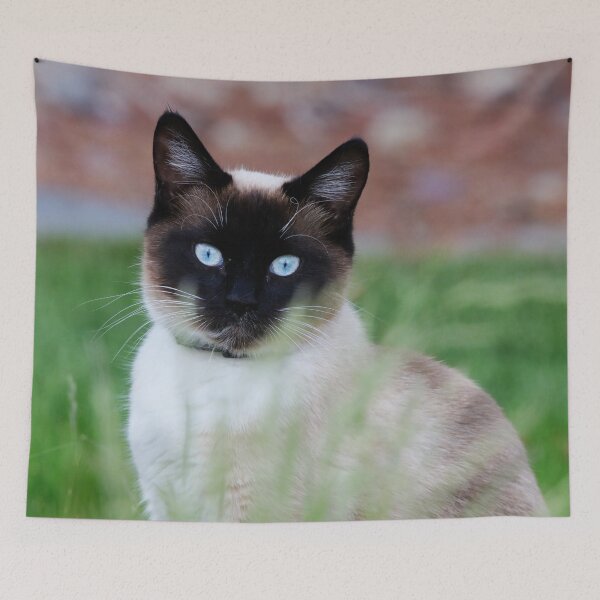 Item preview, Sassy designed and sold by Alyce Taylor.