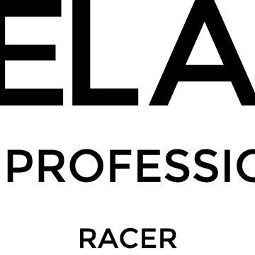 Artwork thumbnail, Professional Racer by ADAM18