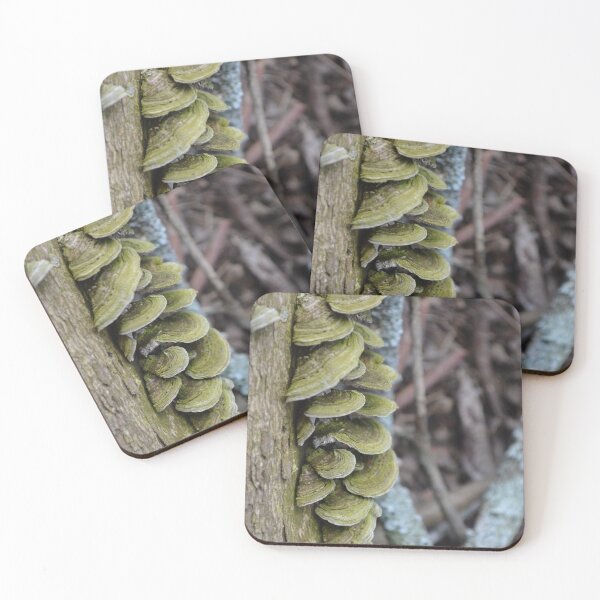Item preview, mushrooms designed and sold by Adam Lo Cicero.