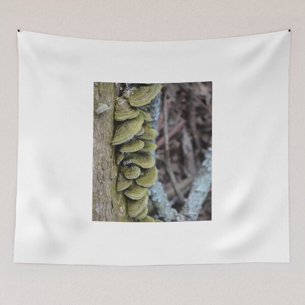 Item preview, mushrooms designed and sold by Adam Lo Cicero.