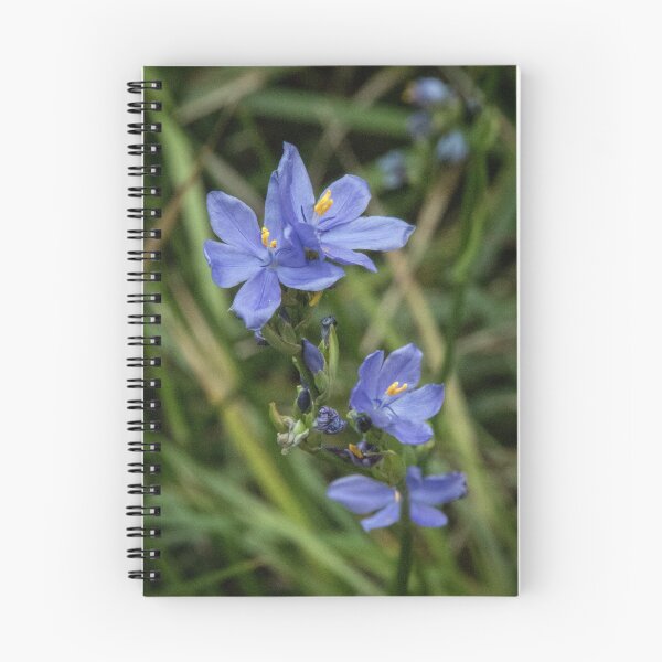 Item preview, Blue Flower 20151019 0510  designed and sold by Fred Mitchell.