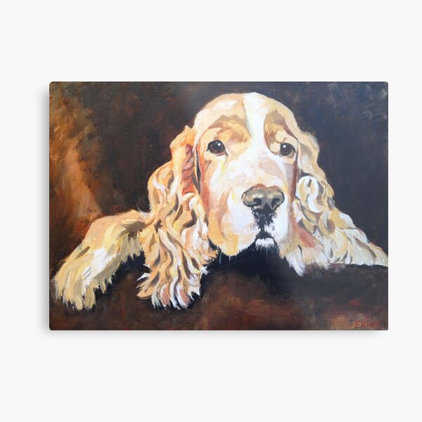 Cocker Spaniel Metal Print