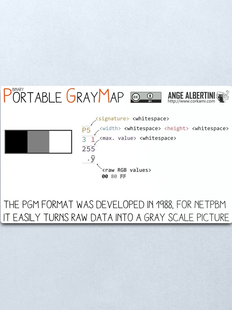 Alternate view of .PGM: Portable Graymap Metal Print