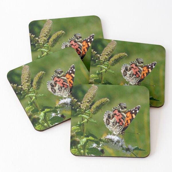 Item preview, Butterfly in the Mint designed and sold by PatSeg Photos.