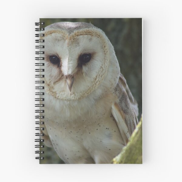 Item preview, Barn Owl  designed and sold by JoshChown.