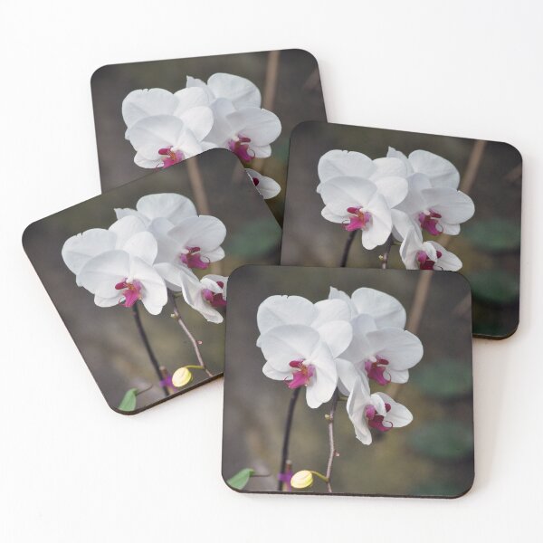 Item preview, Orchids designed and sold by Savannah Gibbs.