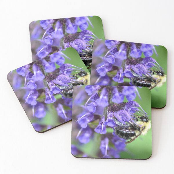 Item preview, Busy Bee designed and sold by PatSeg Photos.