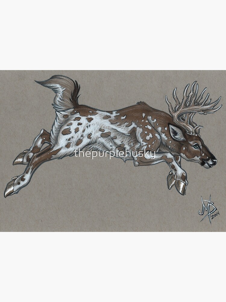 Piebald Buck by thepurplehusky
