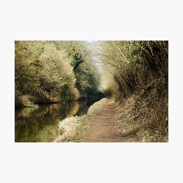 Item preview, Canal in Buckinhamshire, UK designed and sold by Catherine Ames.