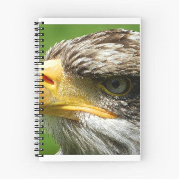 Item preview, Sea Eagle  designed and sold by JoshChown.