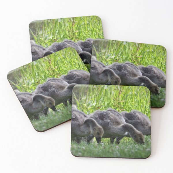 Item preview, Three Gosling designed and sold by PatSeg Photos.